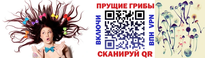 Псилоцибиновые грибы Psilocybe omg вход Абакан