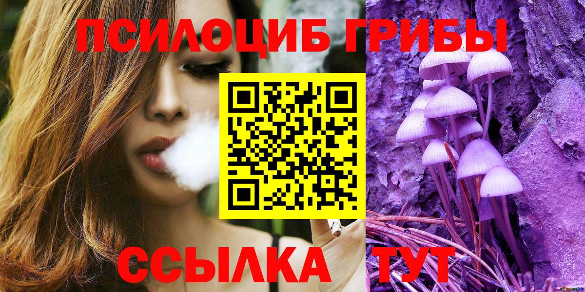 Галлюциногенные грибы Cubensis Абакан