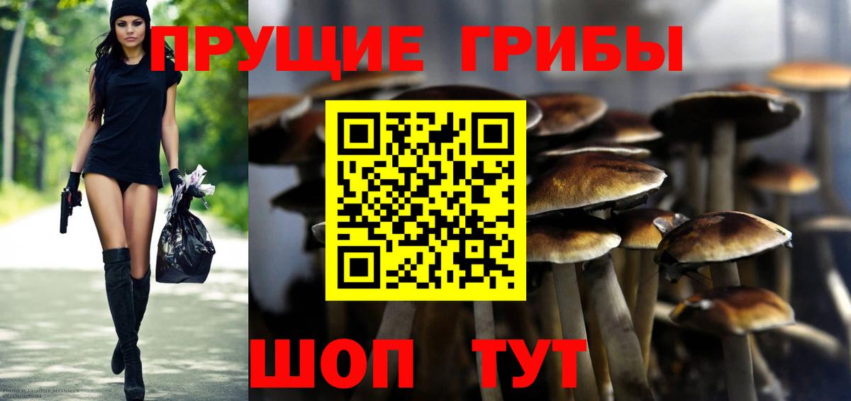 Псилоцибиновые грибы Magic Shrooms Абакан